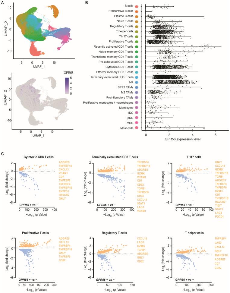 https://cdn.ncbi.nlm.nih.gov/pmc/blobs/26c9/9264967/ca08a9896c75/cancers-14-03164-g001.jpg