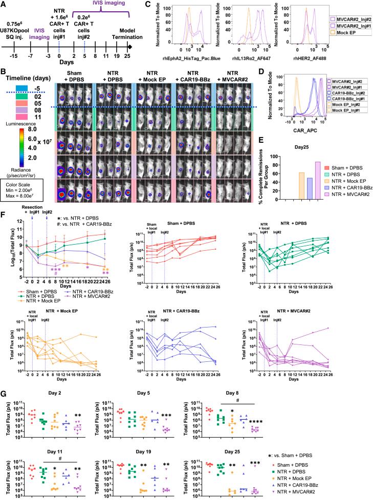 https://cdn.ncbi.nlm.nih.gov/pmc/blobs/26cb/12397939/043fc172633e/gr4.jpg