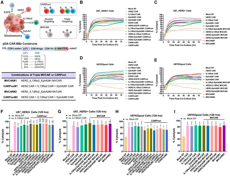 https://cdn.ncbi.nlm.nih.gov/pmc/blobs/26cb/12397939/6f7909eb2746/gr1.jpg