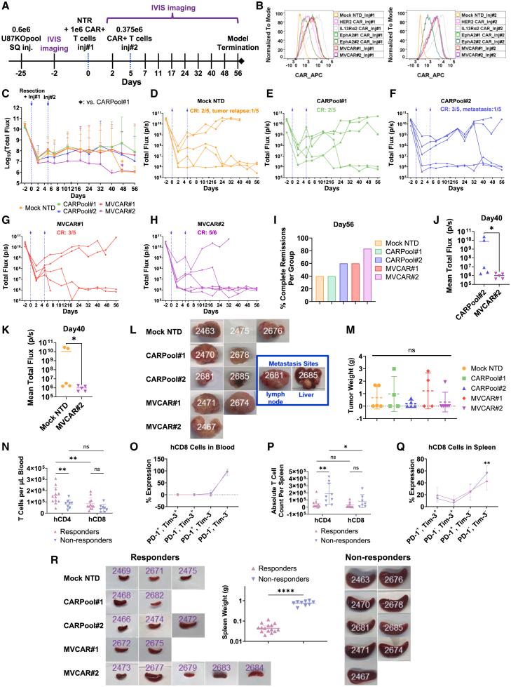 https://cdn.ncbi.nlm.nih.gov/pmc/blobs/26cb/12397939/9e639ccbe6d2/gr6.jpg