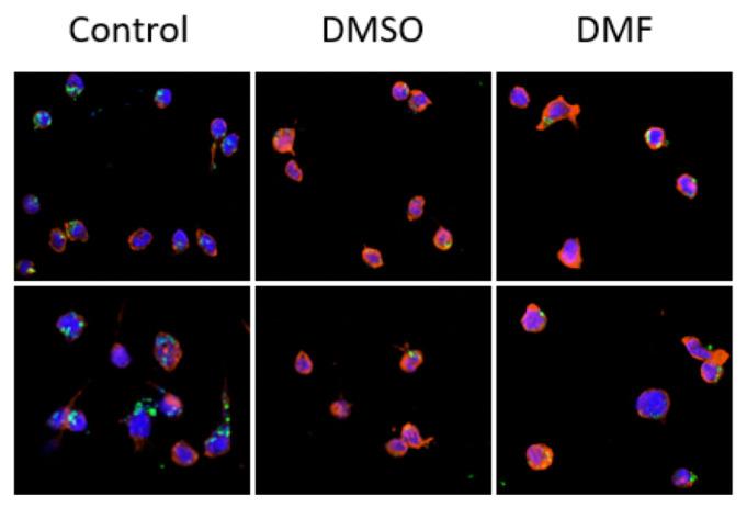 https://cdn.ncbi.nlm.nih.gov/pmc/blobs/26cb/8046660/0df251f0f156/jmbe-22-57f1.jpg