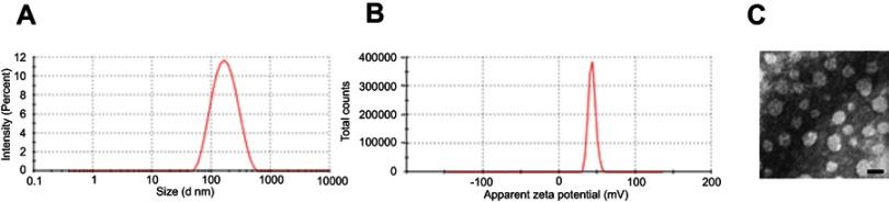 https://cdn.ncbi.nlm.nih.gov/pmc/blobs/26cc/6516749/a9b7011c18af/IJN_A_196374_O_SF0001g.jpg