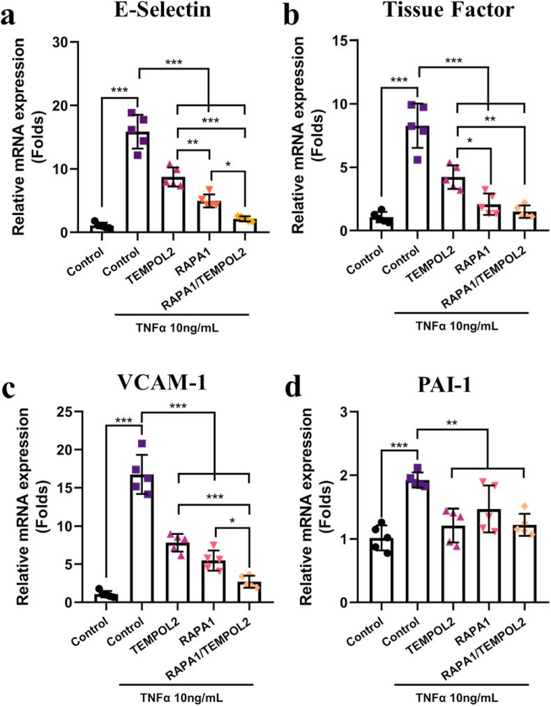 https://cdn.ncbi.nlm.nih.gov/pmc/blobs/26cc/9114161/f719257de4d4/gr4.jpg