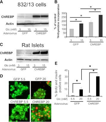 https://cdn.ncbi.nlm.nih.gov/pmc/blobs/26cd/3402328/4a14e560d8d4/2004fig6.jpg