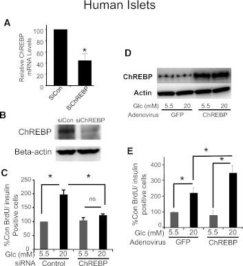 https://cdn.ncbi.nlm.nih.gov/pmc/blobs/26cd/3402328/c540a1a8c6a6/2004fig8.jpg