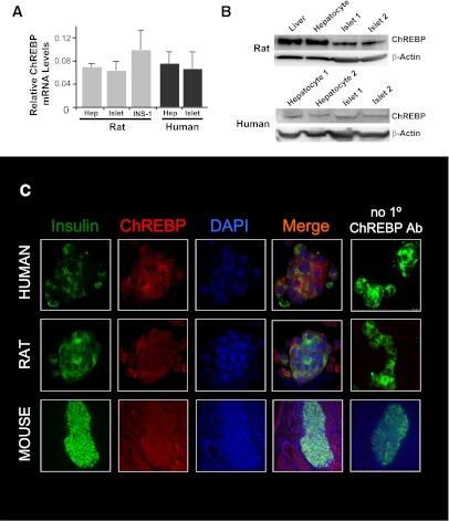 https://cdn.ncbi.nlm.nih.gov/pmc/blobs/26cd/3402328/f732799d53c0/2004fig1.jpg