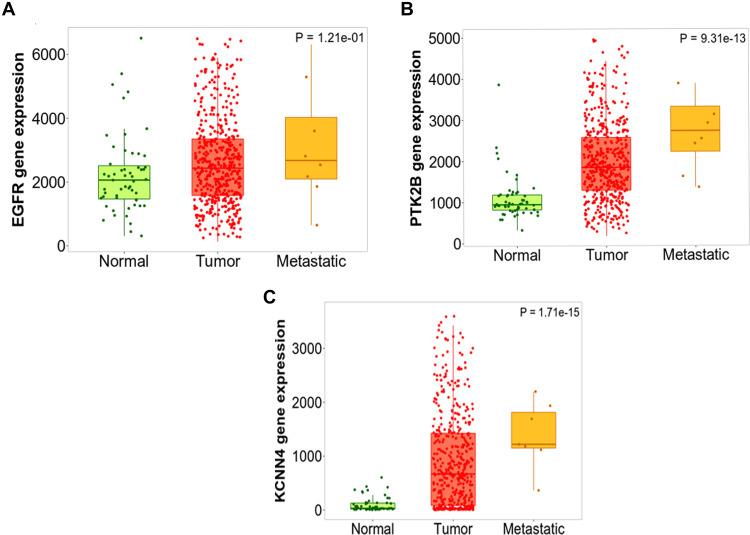 https://cdn.ncbi.nlm.nih.gov/pmc/blobs/26cd/8939872/0dc174ee0b28/IJGM-15-3097-g0012.jpg