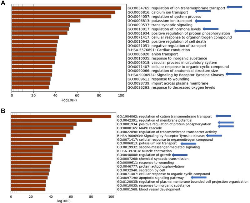 https://cdn.ncbi.nlm.nih.gov/pmc/blobs/26cd/8939872/46f4643155bf/IJGM-15-3097-g0005.jpg