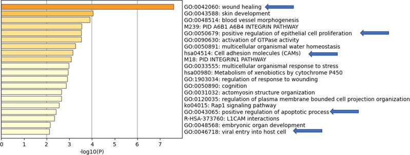 https://cdn.ncbi.nlm.nih.gov/pmc/blobs/26cd/8939872/681a7e1ec458/IJGM-15-3097-g0010.jpg