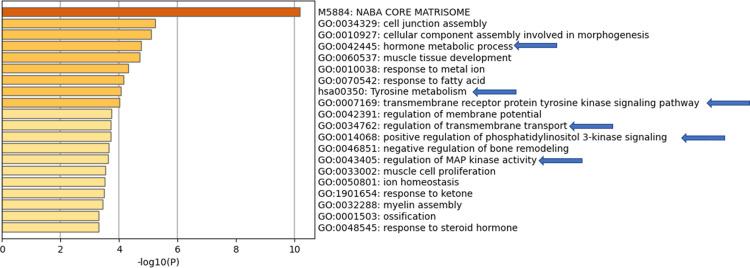 https://cdn.ncbi.nlm.nih.gov/pmc/blobs/26cd/8939872/c3b272b7b622/IJGM-15-3097-g0008.jpg