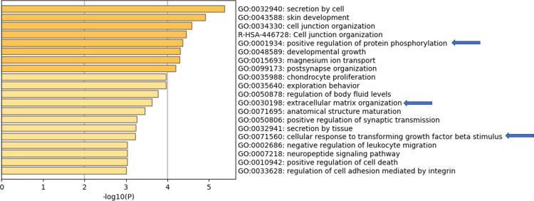 https://cdn.ncbi.nlm.nih.gov/pmc/blobs/26cd/8939872/f5a308cd057a/IJGM-15-3097-g0006.jpg