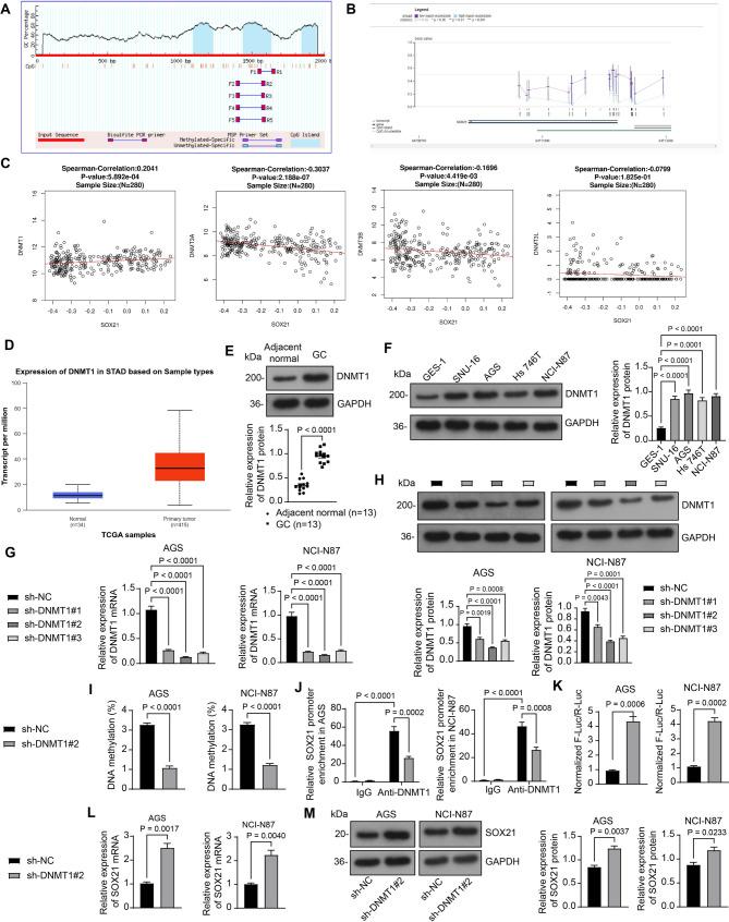 https://cdn.ncbi.nlm.nih.gov/pmc/blobs/26cf/12273269/36703f571601/12885_2025_14577_Fig6_HTML.jpg