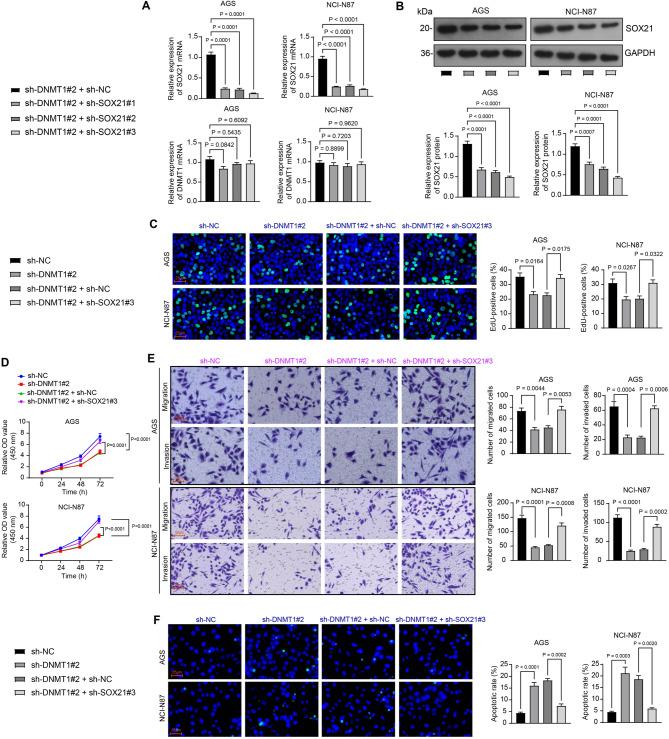 https://cdn.ncbi.nlm.nih.gov/pmc/blobs/26cf/12273269/666f34b3e1c1/12885_2025_14577_Fig7_HTML.jpg