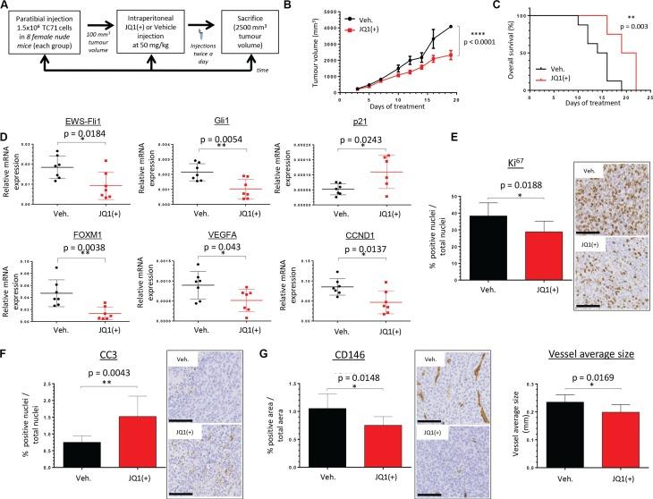 https://cdn.ncbi.nlm.nih.gov/pmc/blobs/26cf/5029689/06efdfc1329d/oncotarget-07-24125-g005.jpg