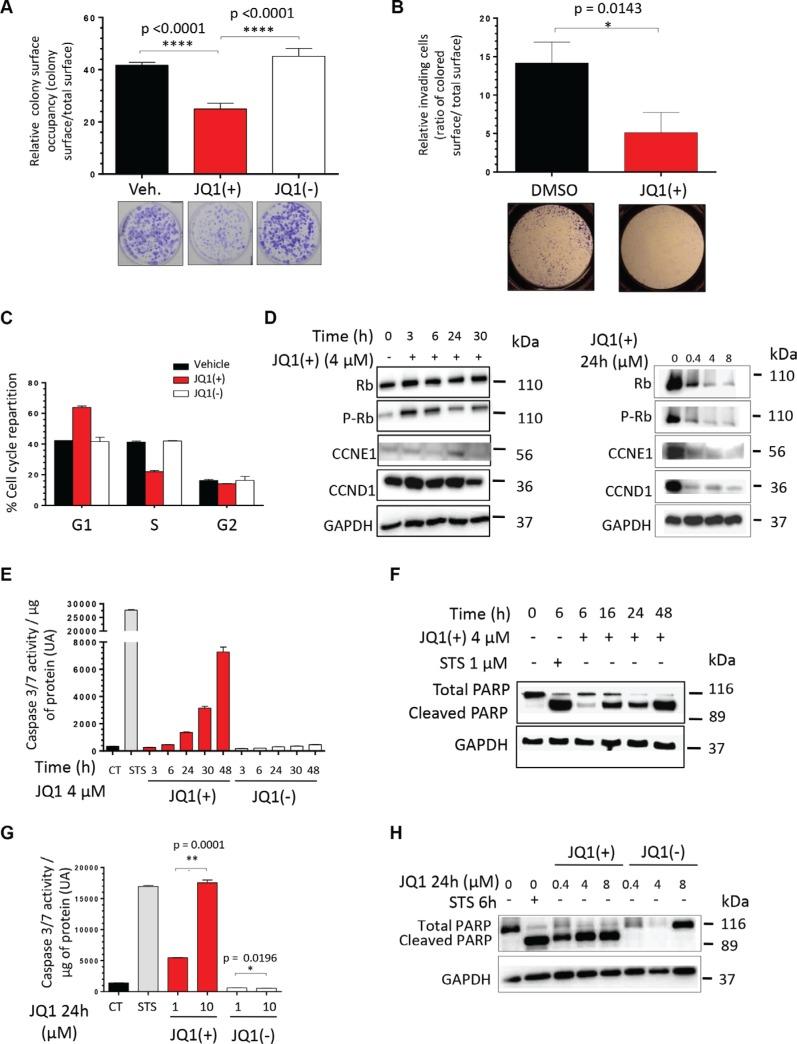 https://cdn.ncbi.nlm.nih.gov/pmc/blobs/26cf/5029689/489945cfff68/oncotarget-07-24125-g002.jpg