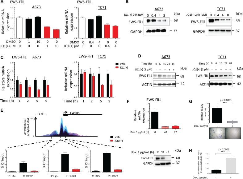 https://cdn.ncbi.nlm.nih.gov/pmc/blobs/26cf/5029689/9e00d6dc5893/oncotarget-07-24125-g003.jpg