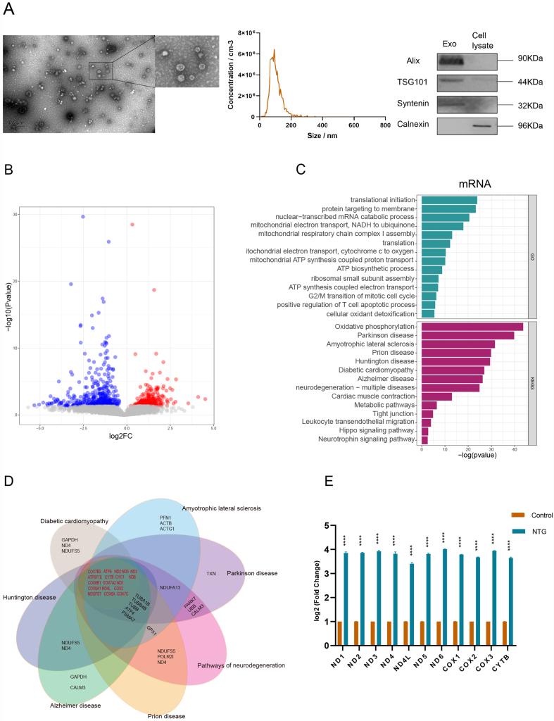 https://cdn.ncbi.nlm.nih.gov/pmc/blobs/26d0/11648459/ddb25d95ec37/evcna-5-3-438.fig.2.jpg