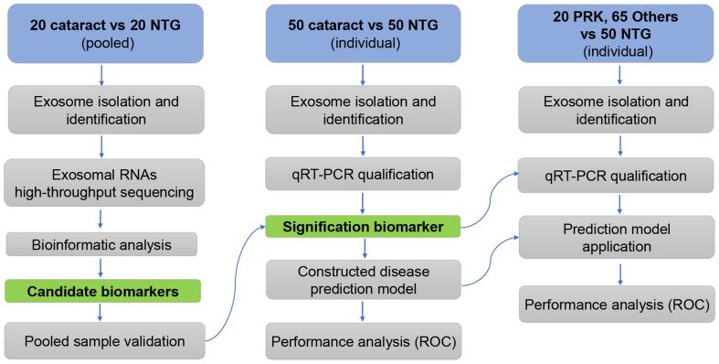 https://cdn.ncbi.nlm.nih.gov/pmc/blobs/26d0/11648459/e78c1796154e/evcna-5-3-438.fig.1.jpg