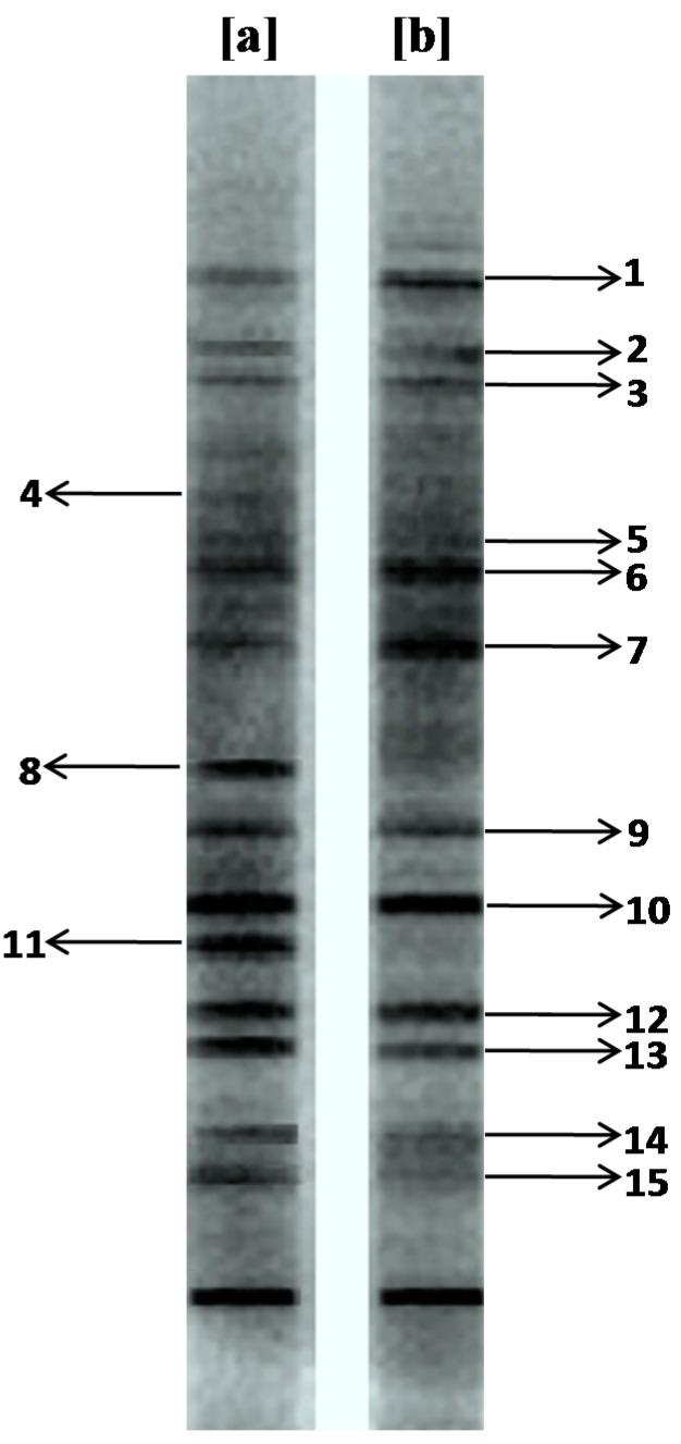 https://cdn.ncbi.nlm.nih.gov/pmc/blobs/26d0/4410198/7f166563df0b/ijerph-12-03480-g002.jpg