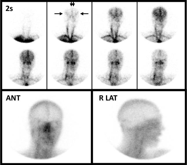 https://cdn.ncbi.nlm.nih.gov/pmc/blobs/26d1/10202972/50c8292720d4/12630_2023_2420_Fig1_HTML.jpg