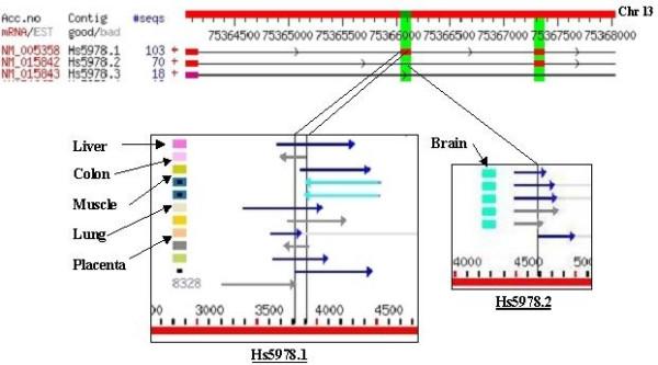 https://cdn.ncbi.nlm.nih.gov/pmc/blobs/26d5/521684/b8bc21006385/1471-2164-5-72-1.jpg