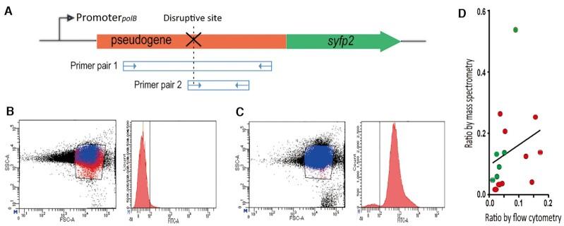 https://cdn.ncbi.nlm.nih.gov/pmc/blobs/26d5/9122581/dcd4cc49654b/gkac302fig5.jpg