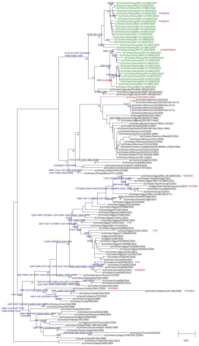 https://cdn.ncbi.nlm.nih.gov/pmc/blobs/26d6/11436075/b27e75a44f1b/viruses-16-01417-g003.jpg