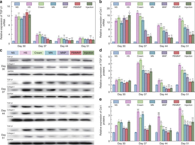 https://cdn.ncbi.nlm.nih.gov/pmc/blobs/26d6/11894194/eabac29ba717/41378_2024_823_Fig8_HTML.jpg