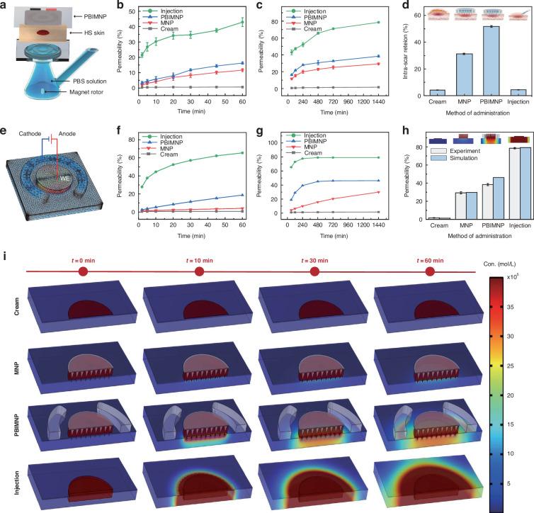 https://cdn.ncbi.nlm.nih.gov/pmc/blobs/26d6/11894194/f733d14f2722/41378_2024_823_Fig5_HTML.jpg