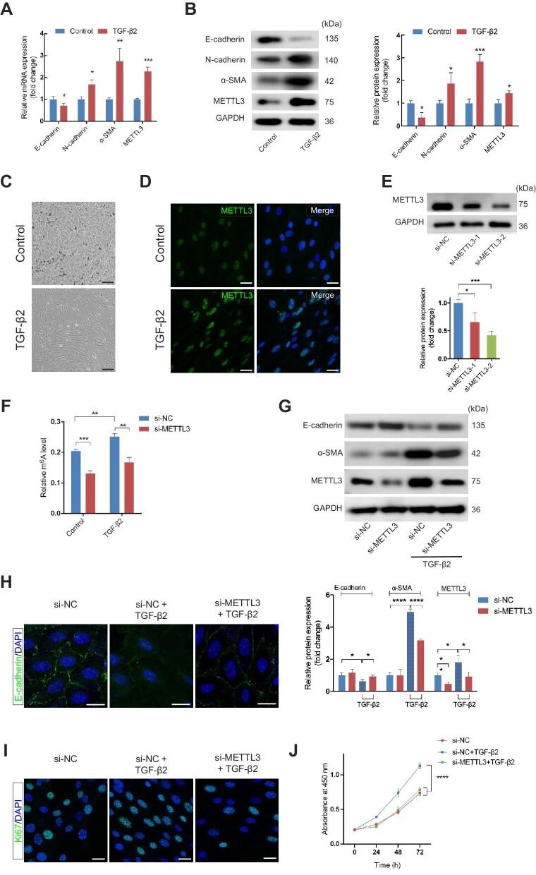 https://cdn.ncbi.nlm.nih.gov/pmc/blobs/26d7/10603769/25b2d5f5fa31/mjad005fig3.jpg