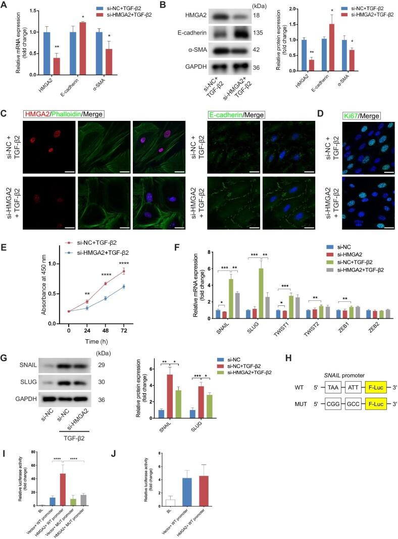 https://cdn.ncbi.nlm.nih.gov/pmc/blobs/26d7/10603769/6aa8c18ecc87/mjad005fig5.jpg