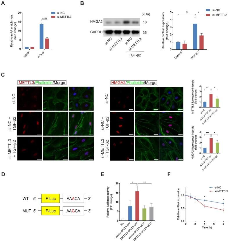https://cdn.ncbi.nlm.nih.gov/pmc/blobs/26d7/10603769/b917a61d0c6e/mjad005fig4.jpg
