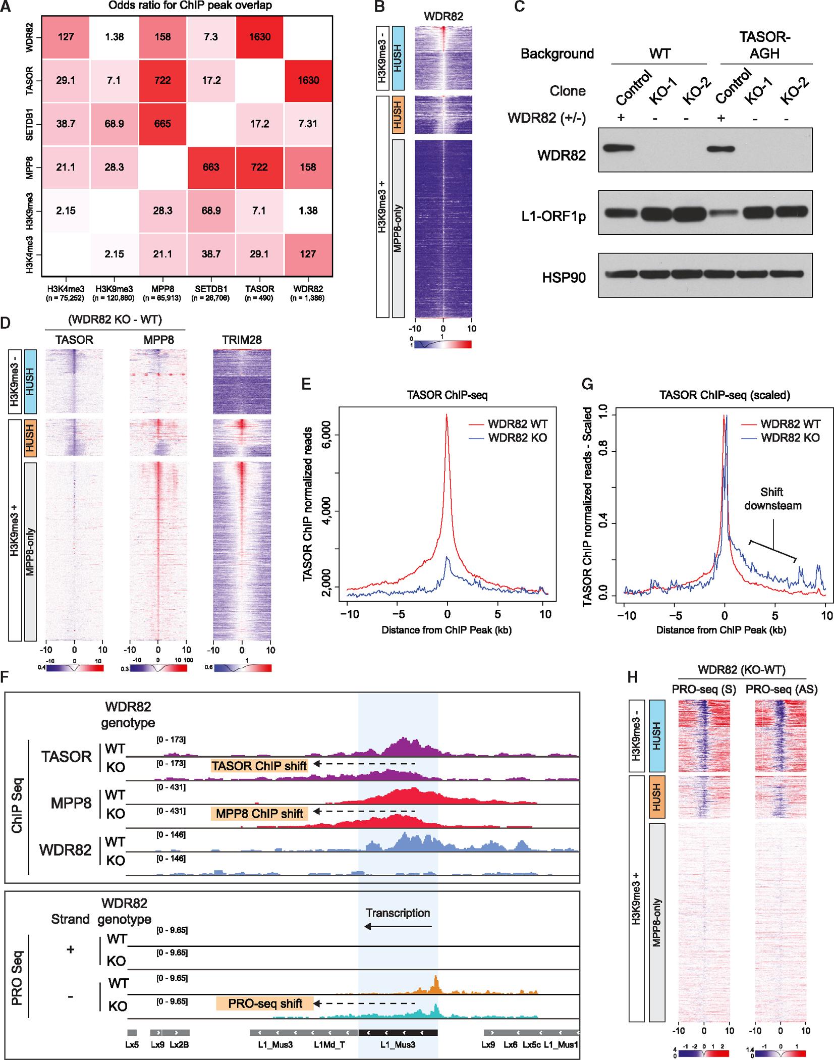 https://cdn.ncbi.nlm.nih.gov/pmc/blobs/26d7/10915761/969e11182ad9/nihms-1960707-f0006.jpg