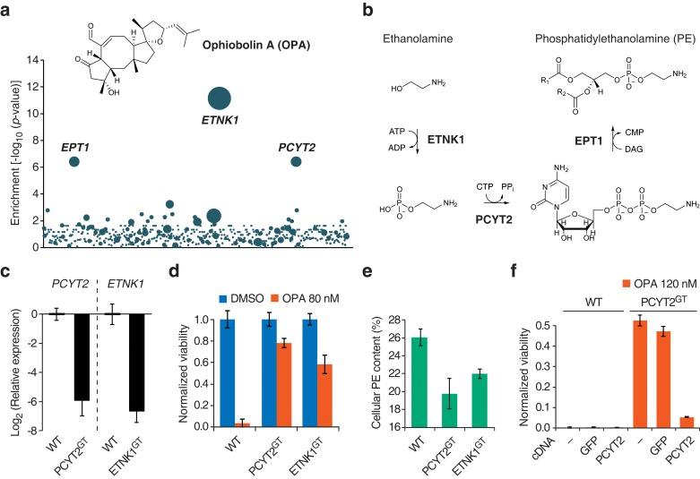 https://cdn.ncbi.nlm.nih.gov/pmc/blobs/26d8/4942256/59afb3a4ca1a/elife-14601-fig1.jpg
