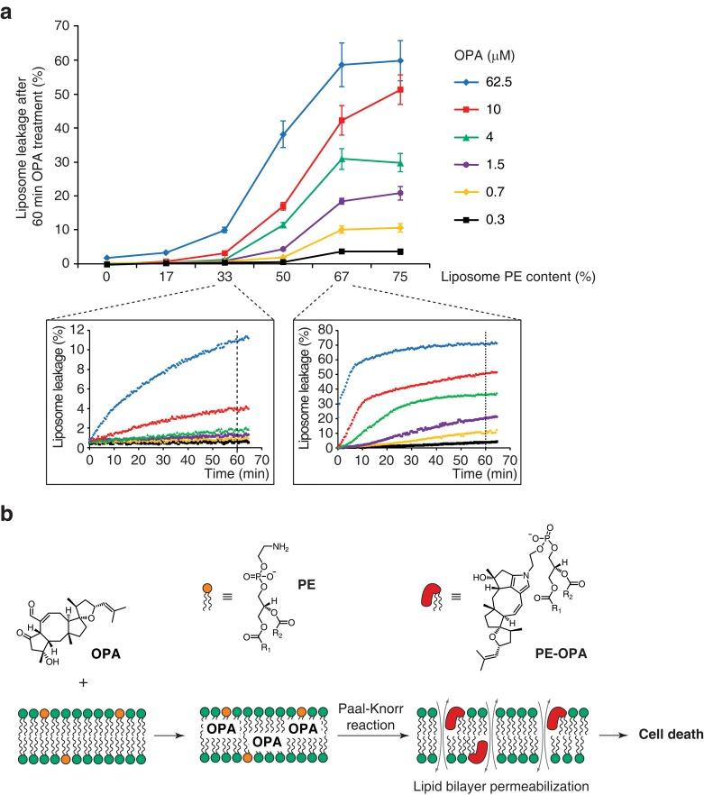 https://cdn.ncbi.nlm.nih.gov/pmc/blobs/26d8/4942256/65815494523c/elife-14601-fig5.jpg