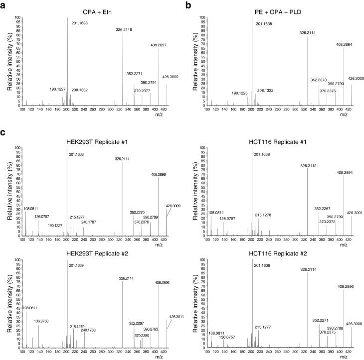 https://cdn.ncbi.nlm.nih.gov/pmc/blobs/26d8/4942256/999318c748c7/elife-14601-fig4-figsupp2.jpg