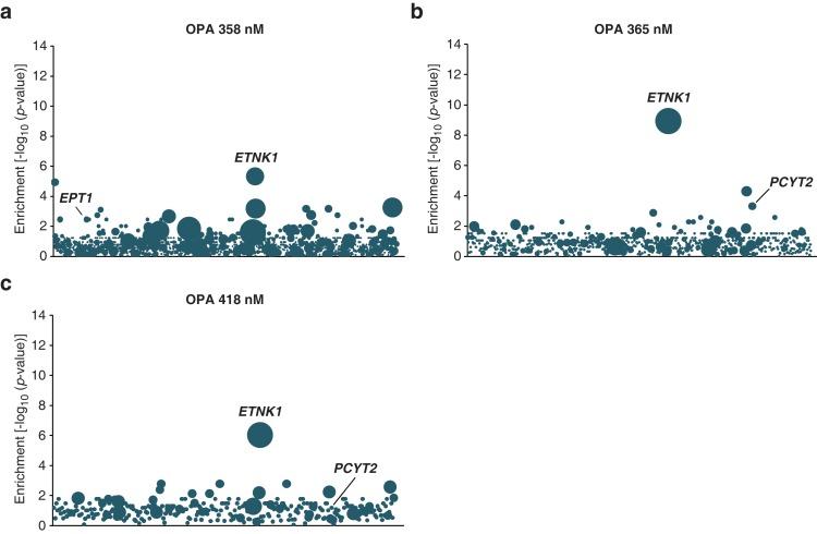https://cdn.ncbi.nlm.nih.gov/pmc/blobs/26d8/4942256/a7399374020b/elife-14601-fig1-figsupp3.jpg