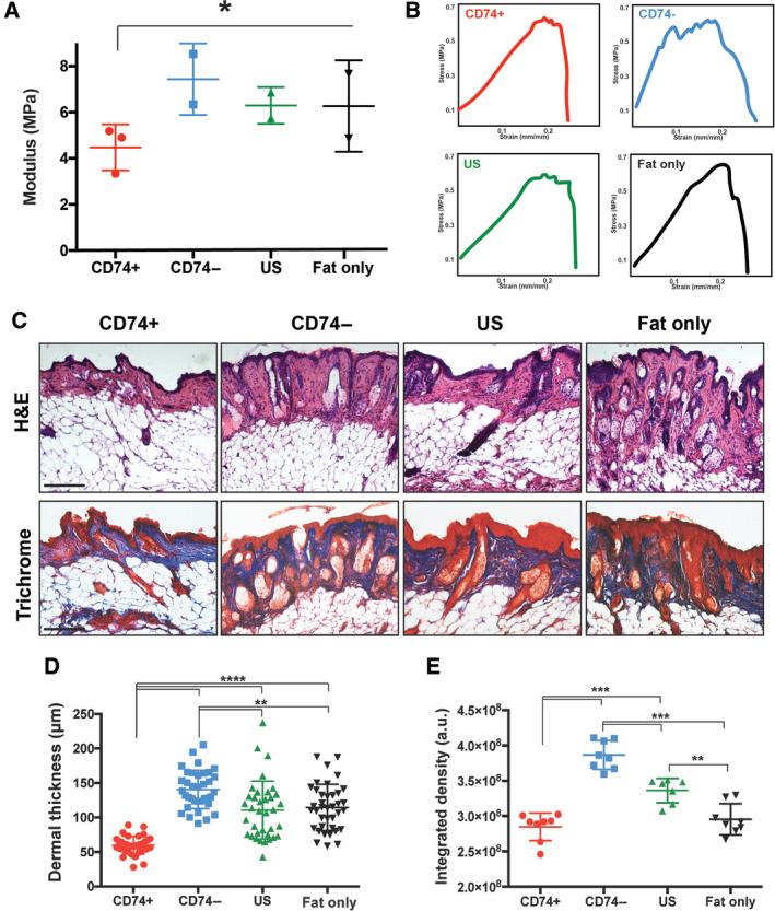 https://cdn.ncbi.nlm.nih.gov/pmc/blobs/26d9/7581454/44e0e4863e20/SCT3-9-1401-g003.jpg