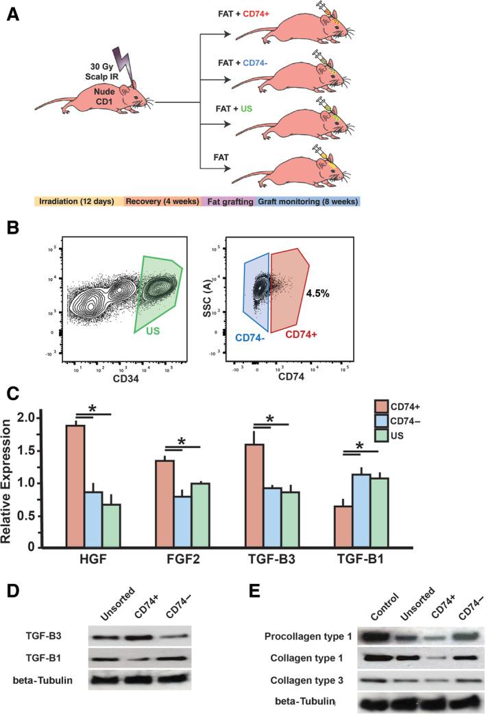 https://cdn.ncbi.nlm.nih.gov/pmc/blobs/26d9/7581454/e2887ad31db0/SCT3-9-1401-g001.jpg