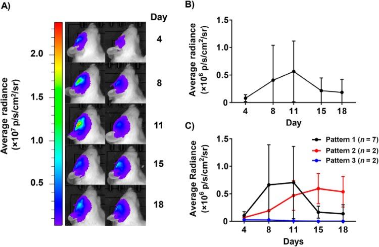 https://cdn.ncbi.nlm.nih.gov/pmc/blobs/26dc/6127346/748832cd0590/tom0021801120003.jpg