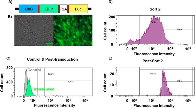 https://cdn.ncbi.nlm.nih.gov/pmc/blobs/26dc/6127346/c17bdd88941f/tom0021801120001.jpg