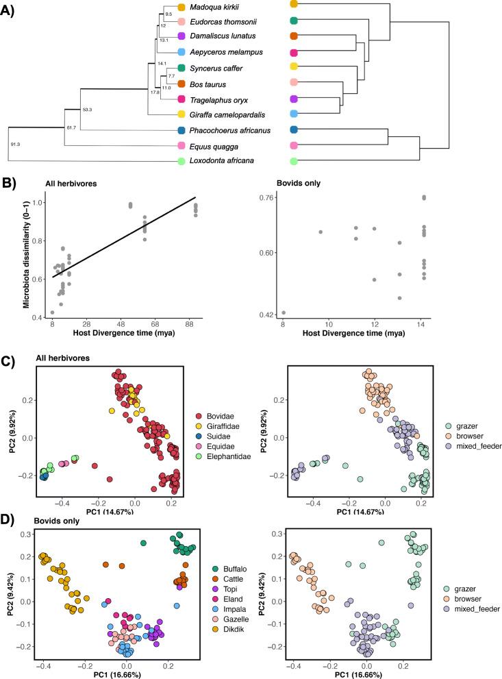 https://cdn.ncbi.nlm.nih.gov/pmc/blobs/26dc/8063394/1783af4efbee/42523_2021_94_Fig1_HTML.jpg