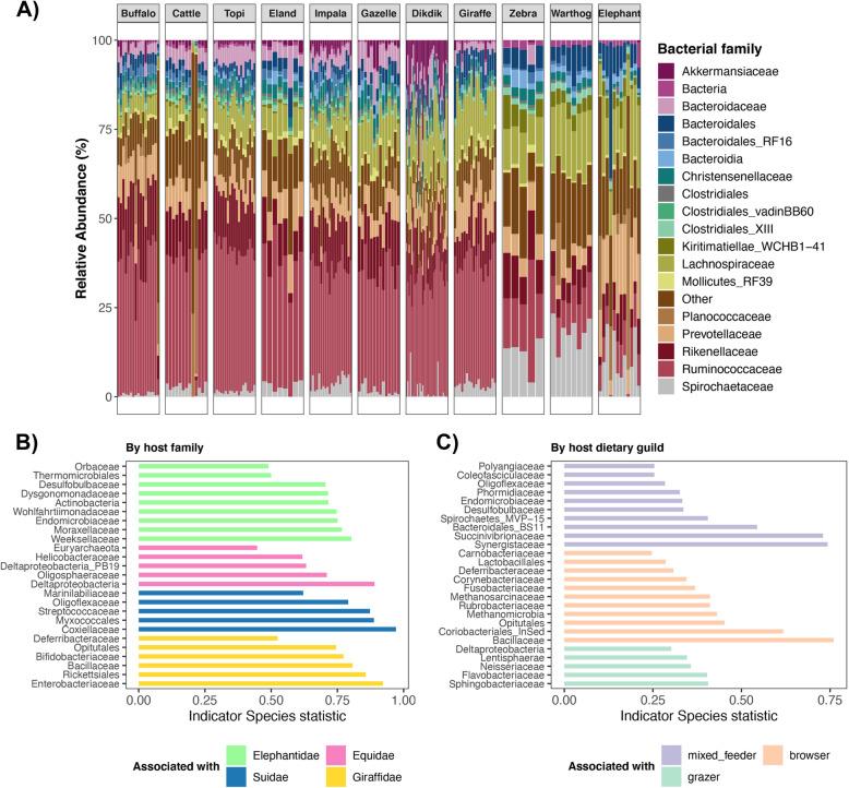 https://cdn.ncbi.nlm.nih.gov/pmc/blobs/26dc/8063394/8924a7d4e207/42523_2021_94_Fig2_HTML.jpg