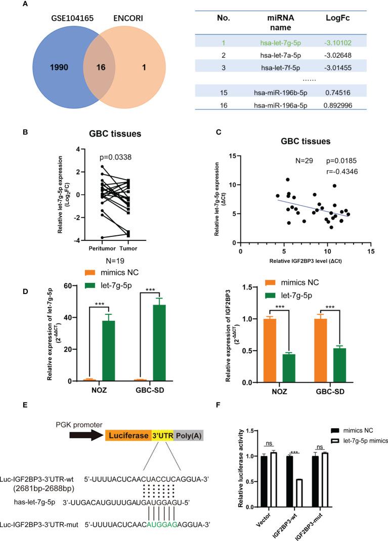https://cdn.ncbi.nlm.nih.gov/pmc/blobs/26dc/9606626/d5aa7a58994a/fonc-12-1035871-g006.jpg