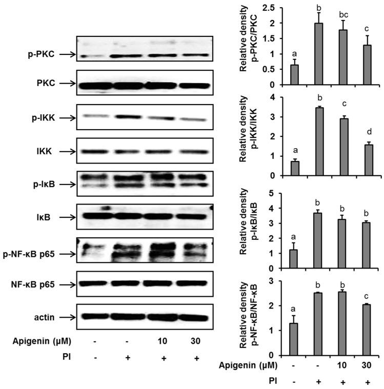https://cdn.ncbi.nlm.nih.gov/pmc/blobs/26de/6479805/10323006db2d/molecules-24-01290-g003.jpg
