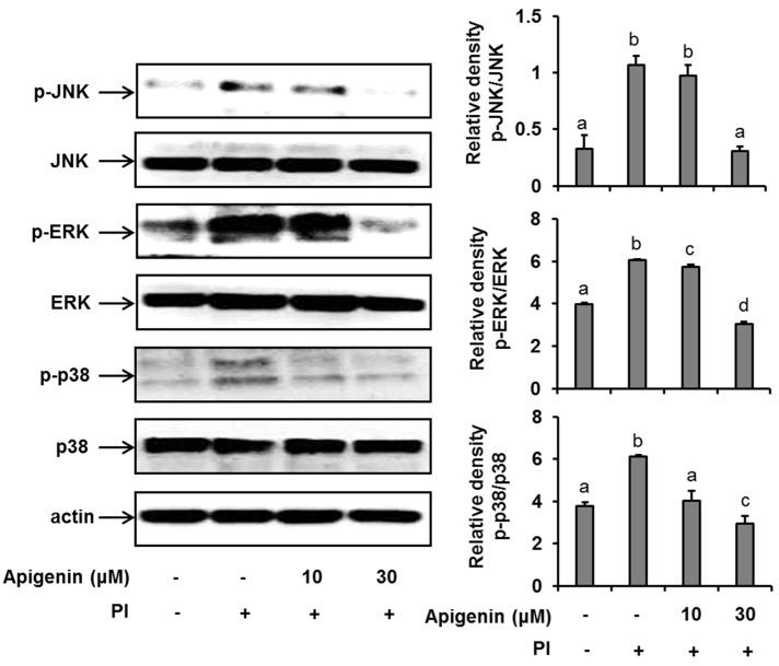 https://cdn.ncbi.nlm.nih.gov/pmc/blobs/26de/6479805/8b344574f2bd/molecules-24-01290-g002.jpg