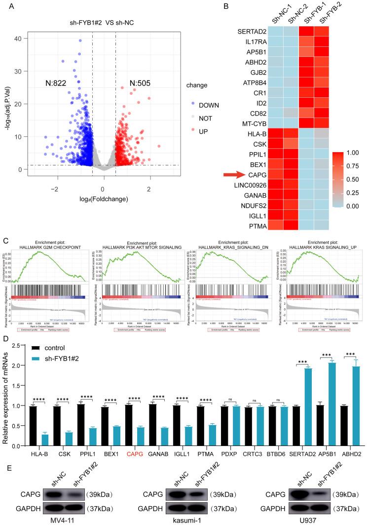 https://cdn.ncbi.nlm.nih.gov/pmc/blobs/26df/11836086/6a4d04565020/11010_2024_4992_Fig5_HTML.jpg