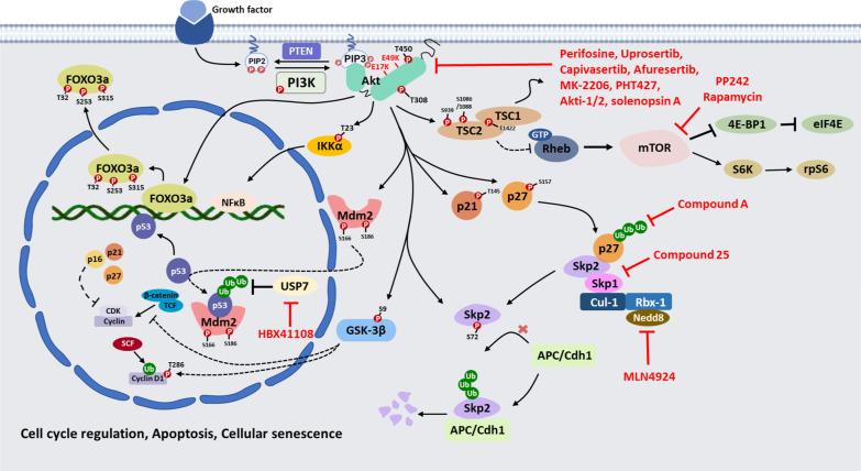 https://cdn.ncbi.nlm.nih.gov/pmc/blobs/26df/9526305/346e479dc209/12929_2022_860_Fig3_HTML.jpg