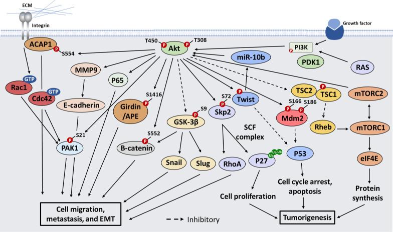 https://cdn.ncbi.nlm.nih.gov/pmc/blobs/26df/9526305/728d696510f8/12929_2022_860_Fig2_HTML.jpg