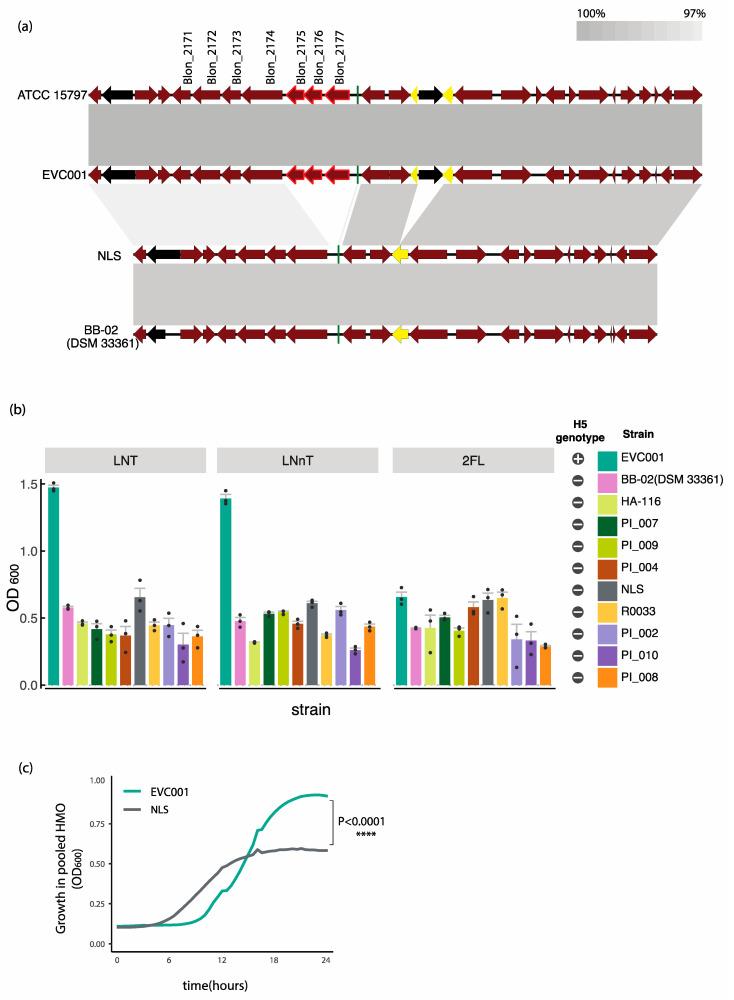 https://cdn.ncbi.nlm.nih.gov/pmc/blobs/26e0/7690671/28e1f3aa926c/nutrients-12-03247-g002.jpg
